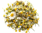Chamomile