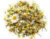 Chamomile